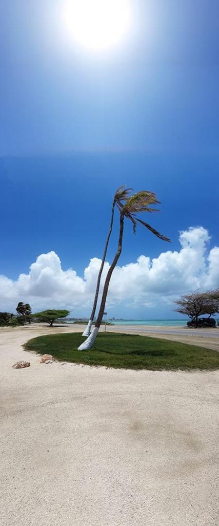Aruba Beach Villas Palm Beach Ngoại thất bức ảnh